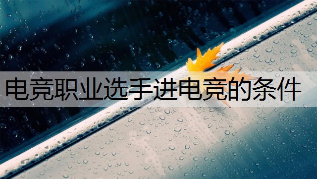 电竞职业选手进电竞的条件