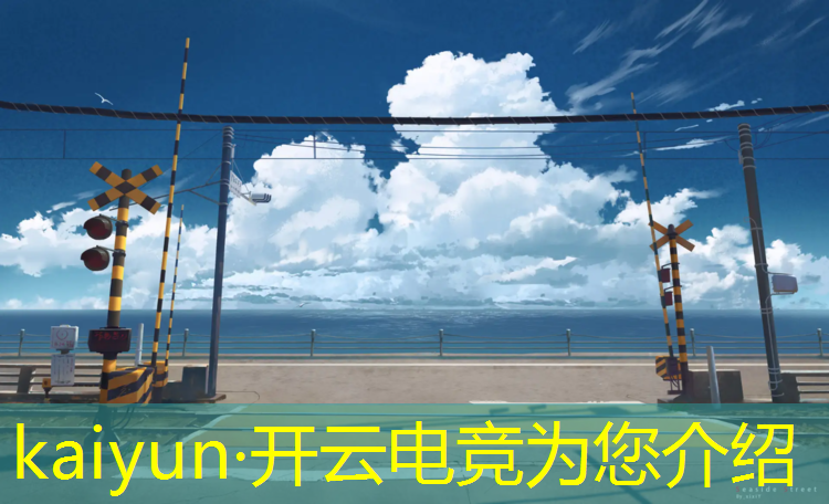 kaiyun·开云电竞为您介绍：电竞赛事规划风险类别