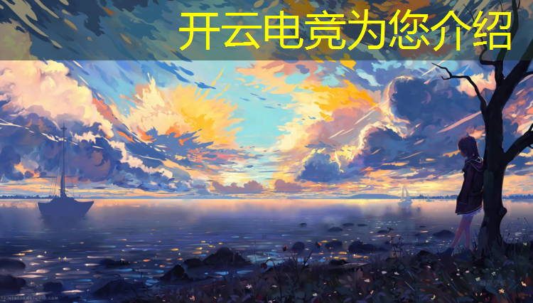 kaiyun·开云电竞为您介绍：专业电竞怎么训练英雄水平