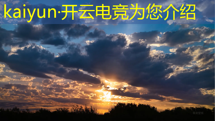 开云电竞为您介绍：欧洲荷兰电竞专业球队