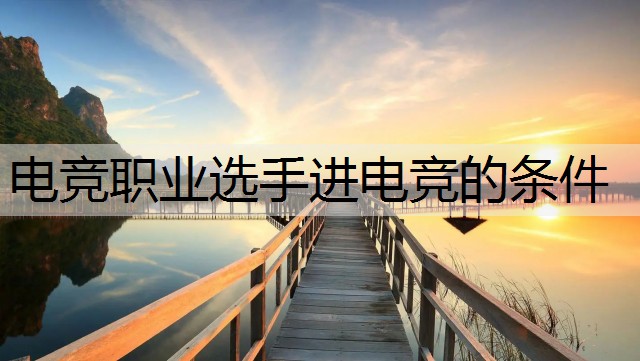 电竞职业选手进电竞的条件