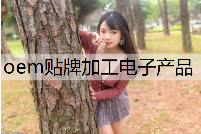 oem贴牌加工电子产品