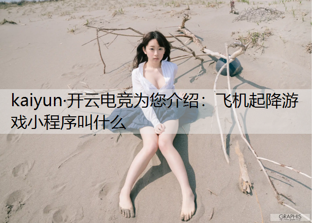 飞机起降游戏小程序叫什么