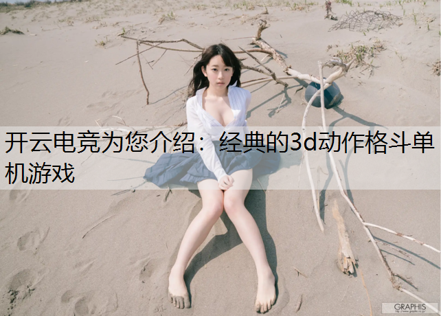 经典的3d动作格斗单机游戏