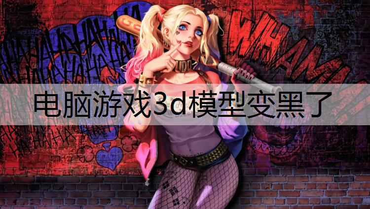 电脑游戏3d模型变黑了