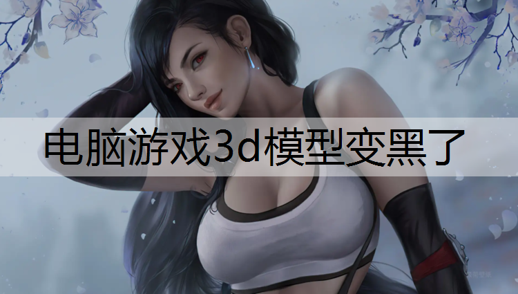 电脑游戏3d模型变黑了