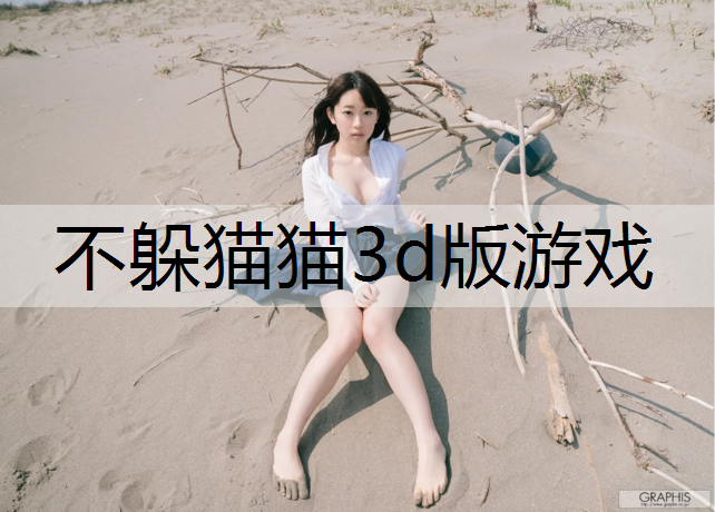 不躲猫猫3d版游戏