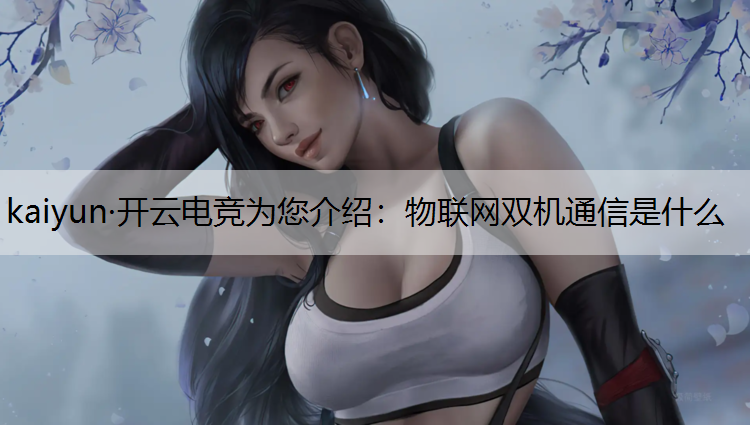 物联网双机通信是什么